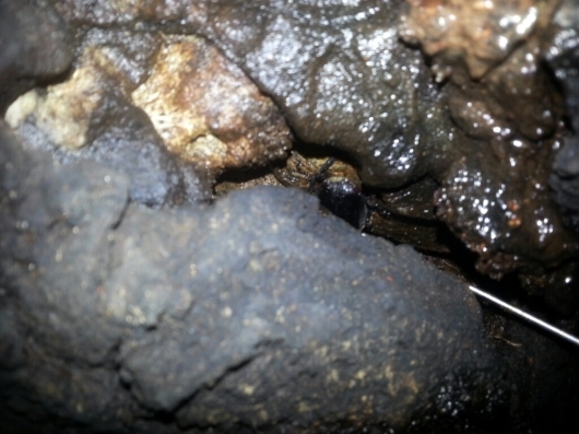 f0183484_03082174.jpg