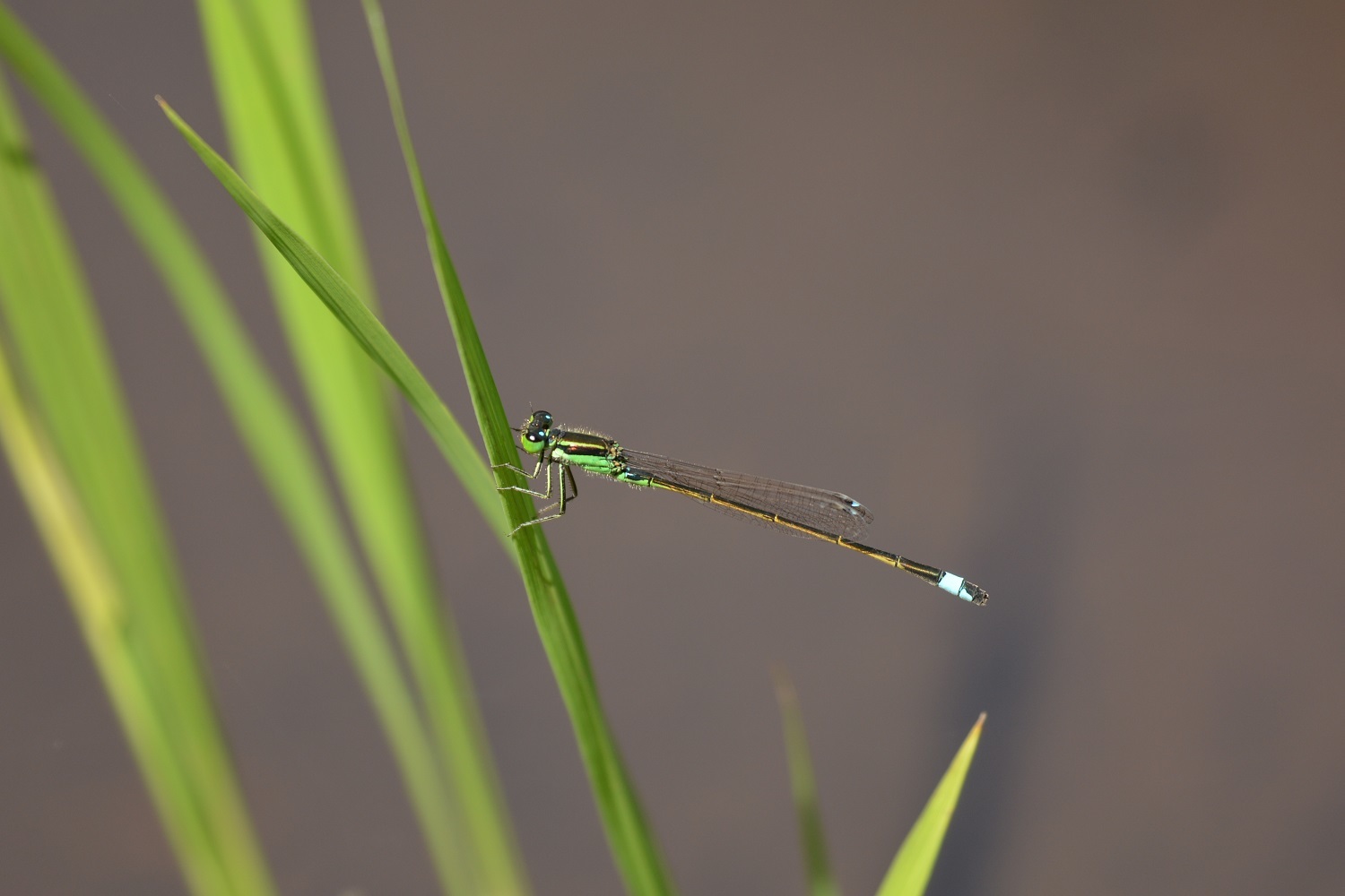 e0353790_20332822.jpg