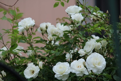 f0325309_15255897.jpg