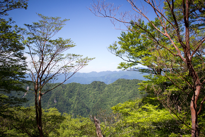 b0244811_22373730.jpg
