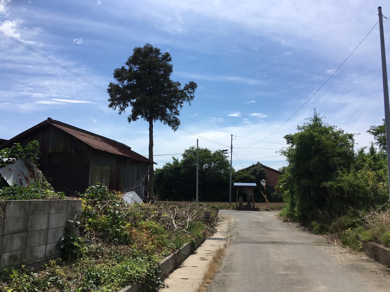 c0016112_15074944.jpg