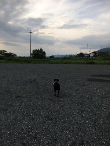 c0114121_23282754.jpg