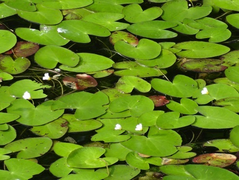 f0000521_05383105.jpg