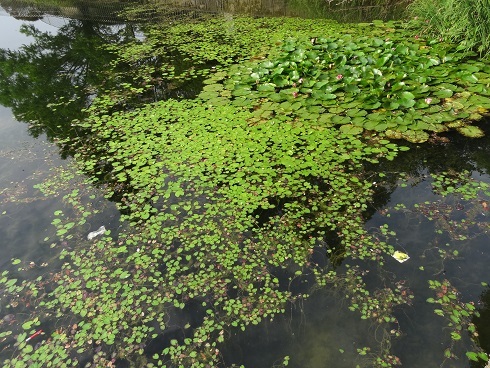 f0000521_05391771.jpg
