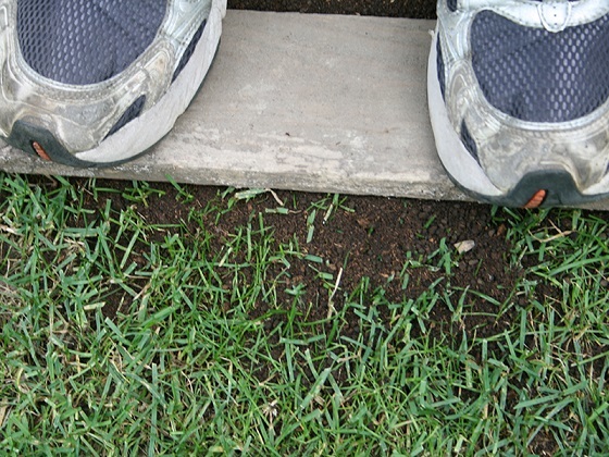 f0227321_10411529.jpg