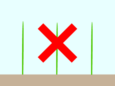f0227321_10424535.gif