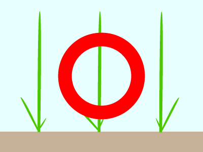 f0227321_10432209.gif