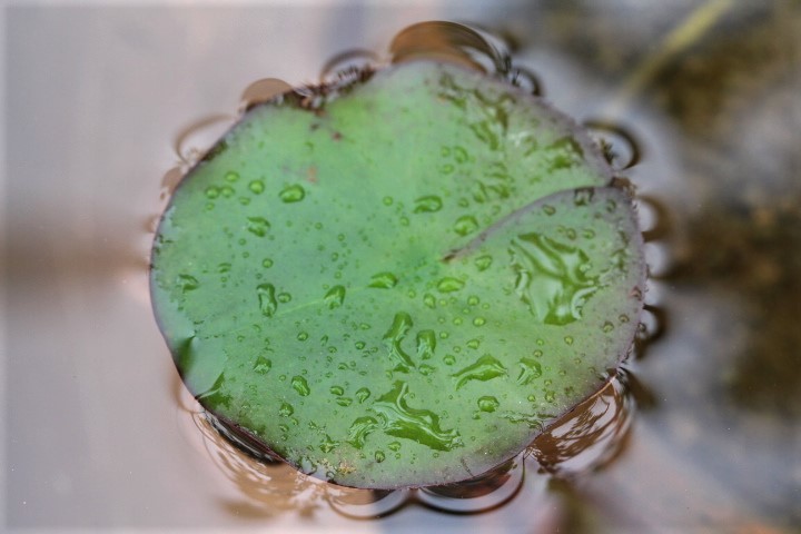 f0354923_11111697.jpg