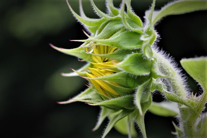 f0354923_11385099.jpg