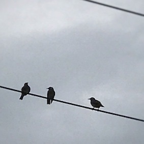 f0309325_20141697.jpg