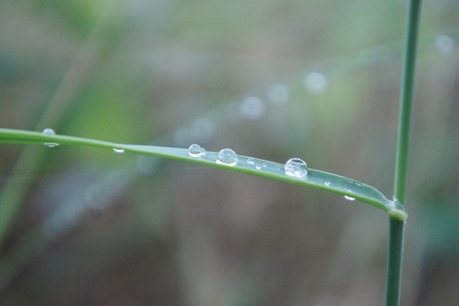 f0368538_10025875.jpg