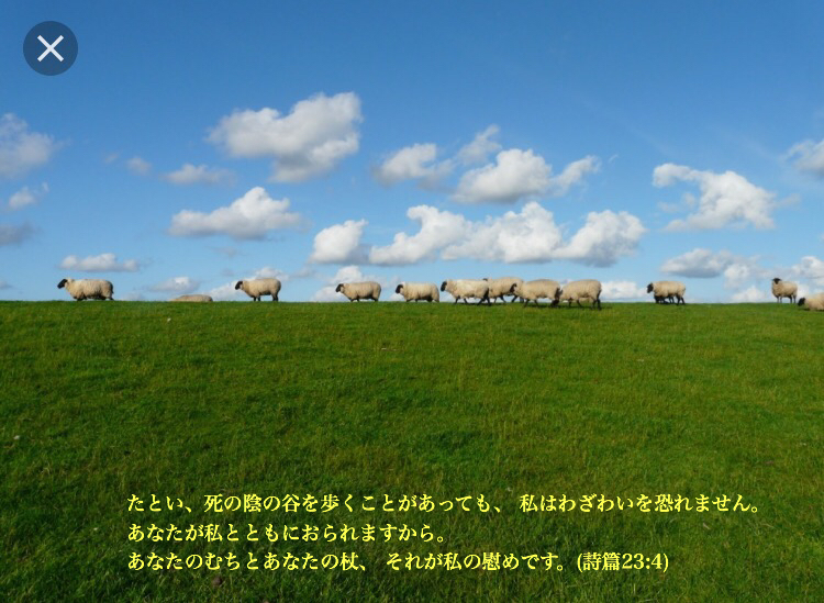 d0100239_06482145.jpg