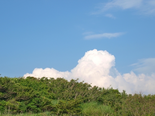 c0281841_14400023.jpg