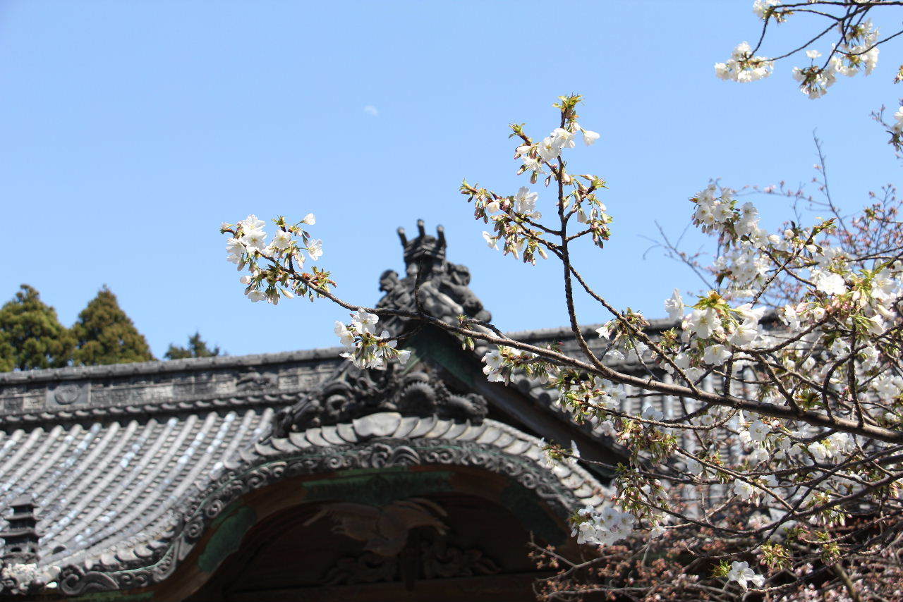 c0011649_23065579.jpg