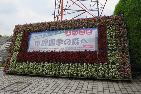 f0202151_19114345.jpg