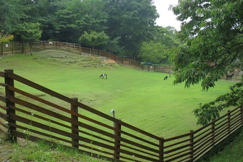 f0202151_19130665.jpg