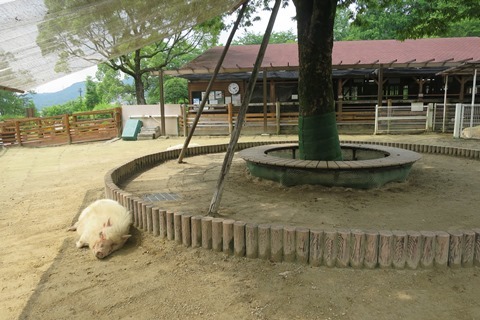 f0202151_19131429.jpg