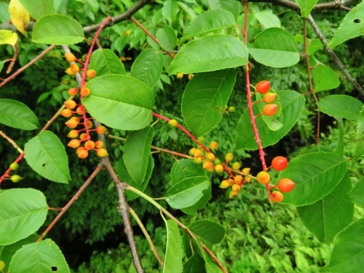 a0018655_14453210.jpg