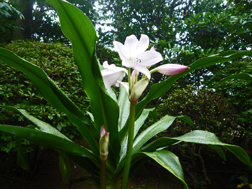 b0045357_08060669.jpg