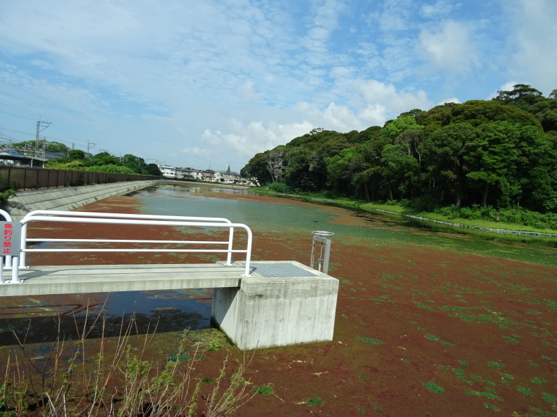 c0108460_17425313.jpg