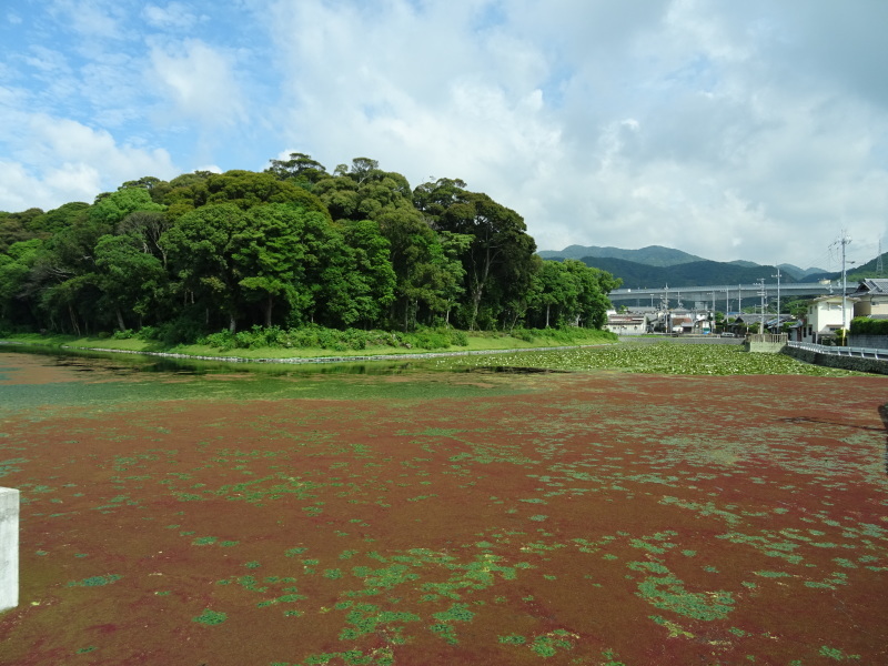 c0108460_17425587.jpg