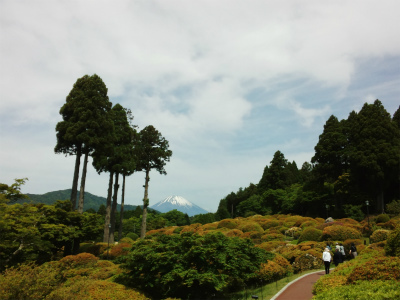 f0129761_11553137.jpg