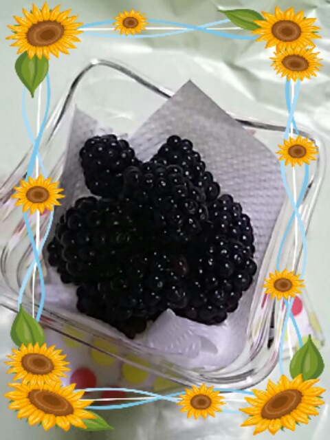 f0000262_11385960.jpg
