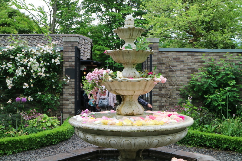 f0345263_22365812.jpg
