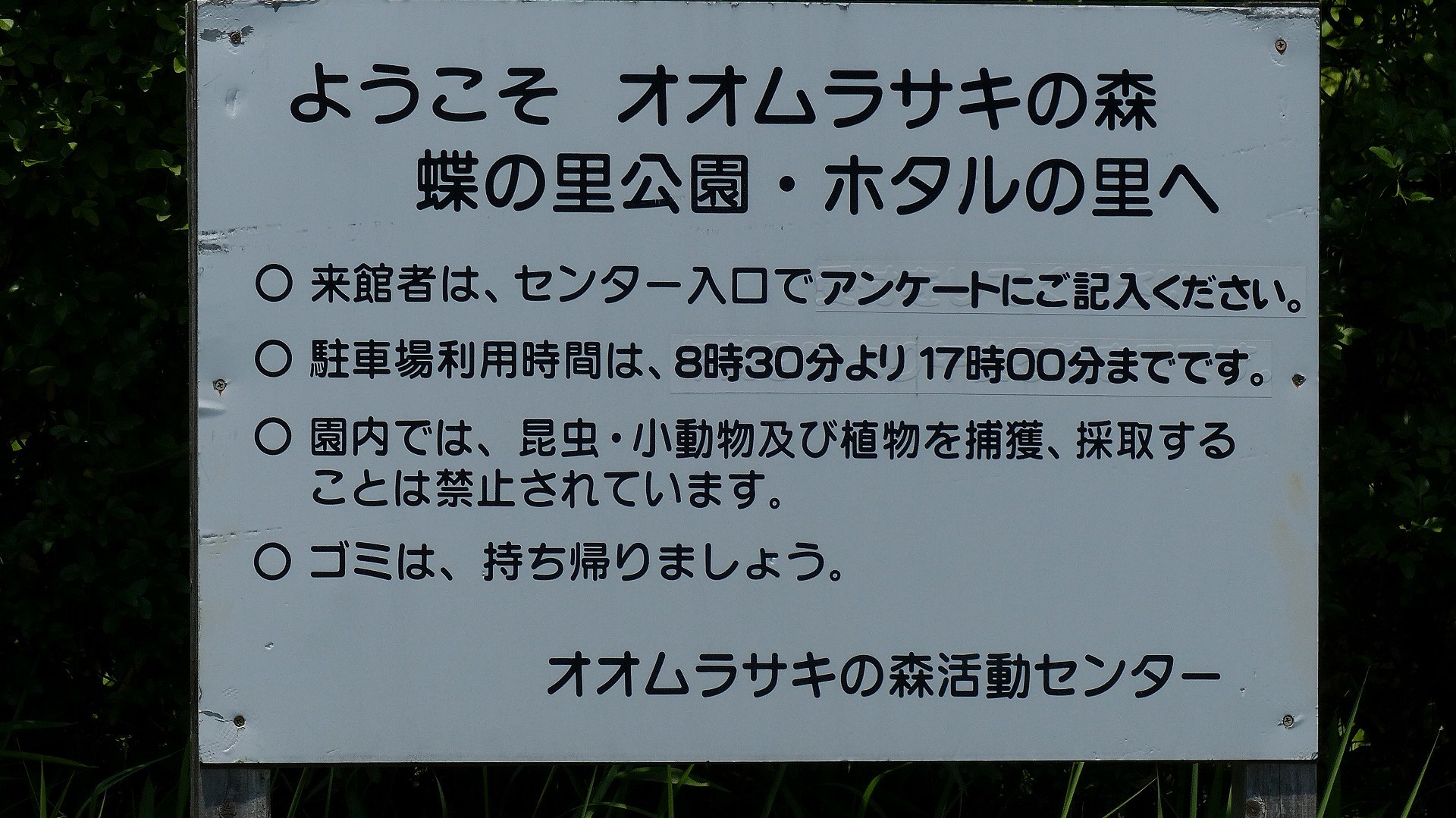 a0185081_10313823.jpg
