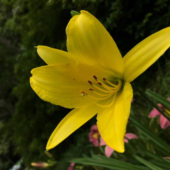 e0024081_20255414.jpg