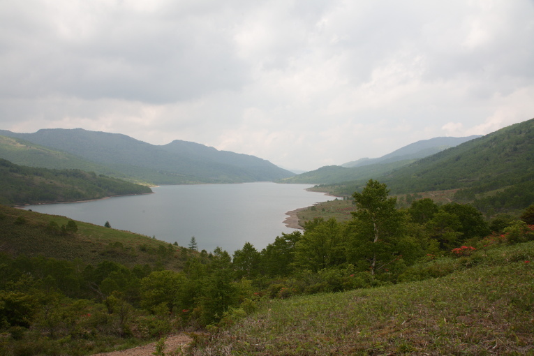 e0165983_11452985.jpg