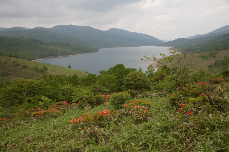 e0165983_11470039.jpg