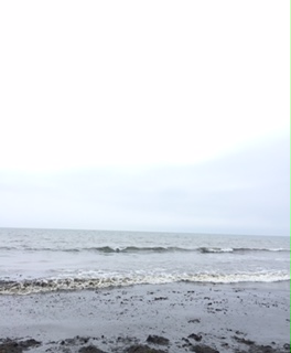 d0108589_1841758.jpg