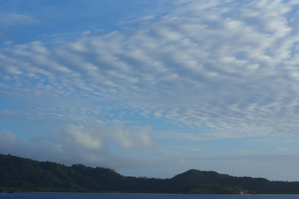 d0286391_18473159.jpg