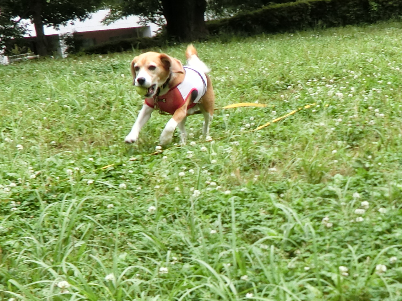 a0319693_894922.jpg