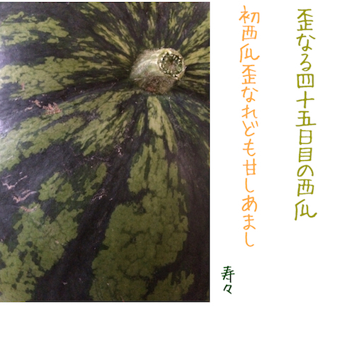 a0205497_08103103.jpeg