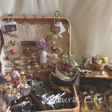 b0162000_15220630.gif