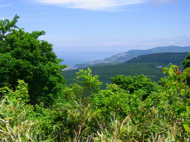 f0157901_136364.jpg