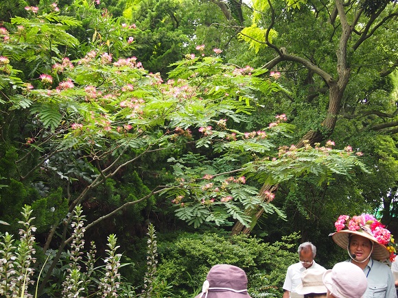 e0245404_1729020.jpg