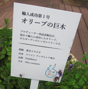 a0251508_235710100.jpg