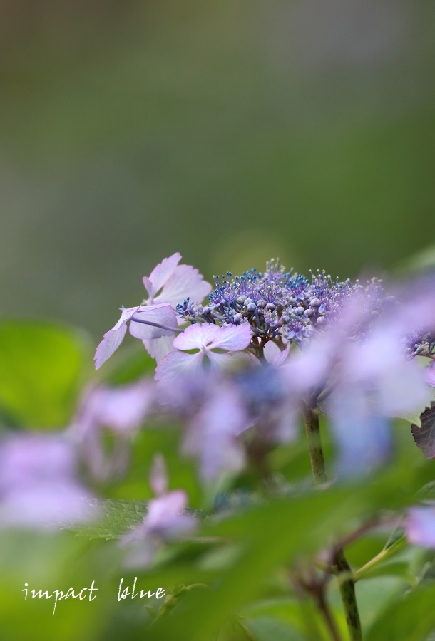 a0355908_14311248.jpg