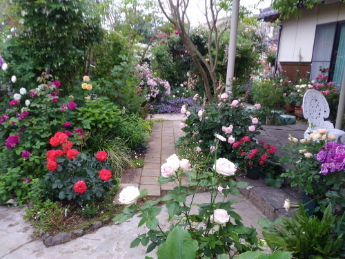 d0066515_13541724.jpg