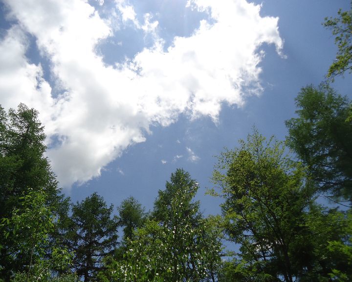 b0248920_05414891.jpg
