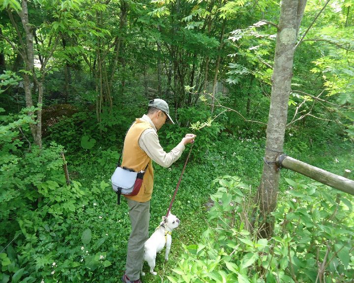 b0248920_07491729.jpg