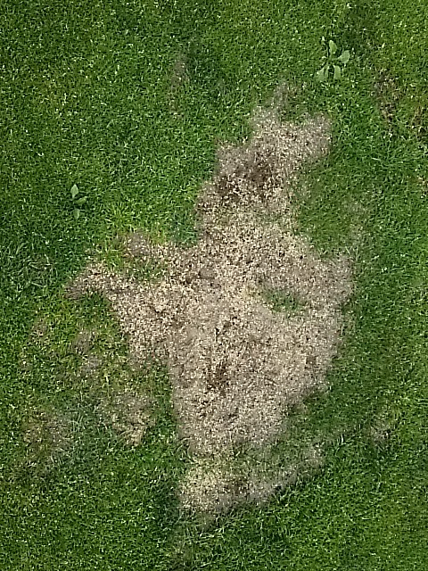 f0227321_19004125.jpg