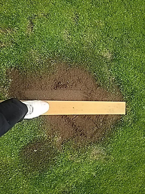 f0227321_19015403.jpg
