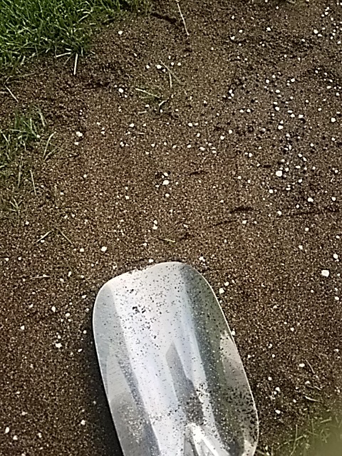 f0227321_19022597.jpg