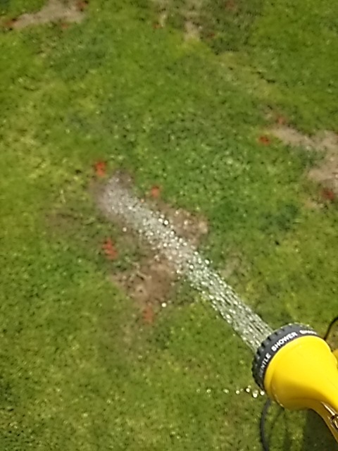 f0227321_19031594.jpg