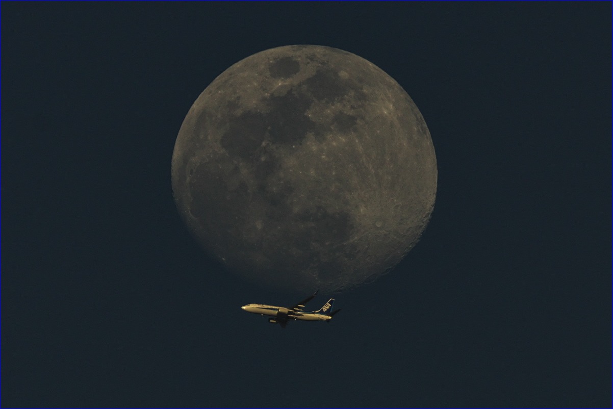 d0137627_20394390.jpg
