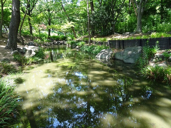b0299042_12242587.jpg